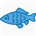 Carp Fish Japan Icon
