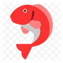 Carp fish  Icon