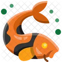 Carp fish  Icon