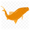 Carp Alaska Cod Butterfish Icon