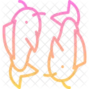 Carp  Icon