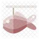 Carp Lantern  Icon