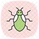 Carpet Insect Beetle Icon