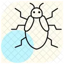 Carpet  Icon