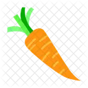 Carrot Fresh Organic Icon