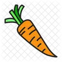 Carrot Fresh Organic Icon