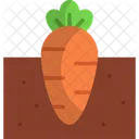 Carrot Vegetable Harvest Icon