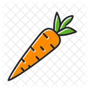 Carrot Food Vegetable Icon