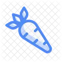 Carrot  Icon