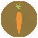 Carrot Food Healthy Icon