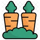 Carrot Vegetables Carrots Icon