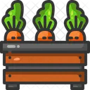 Carrot Food Vegan Icon