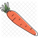 Carrot Organic Fresh Icon