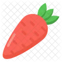 Daucus Carota Carrot Vegetable Icon