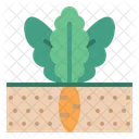 Carrot Gardening Nature Icon