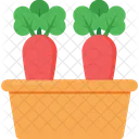 Carrot Vegetable Food Icon
