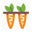 Garden Carrot Vegetable Icon