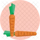 Salad Carrot Vegetable Icon
