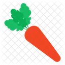 Carrot Vegetable Spice Icon