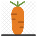 Carrot Vegetables Food Icon
