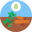 Bio Food And Agriculture Carrot Farm Icon