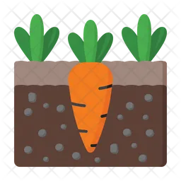 Carrot  Icon