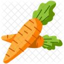 Carrot Gastronomy Nutrition Icon