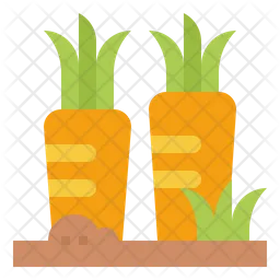 Carrot  Icon