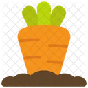 Carrot Growth Spring Icon