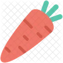 Carrot Food Red Icon