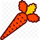 Carrot Food Health Icon