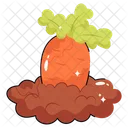 Carrot Fresh Raw Icon