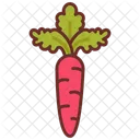 Carrot Root Veg Vitamin A Icon