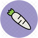 Carrot Vegetable Nutrition Icon