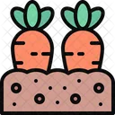 Carrot Carrots Agriculture Icon