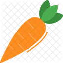 Carrot Food Organic Icon