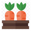 Carrot Basket  Icon