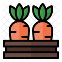 Carrot Basket Carrot Harvest Icon