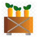 Box Carrot Farm Icon