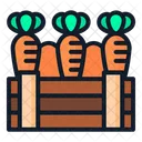 Carrot Food Spring Icon
