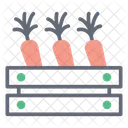Vegetables Food Carrot Box Icon