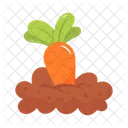 Carrot Fresh Healthy Icon