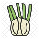 Carrot Family Vegetable Fennel Fennel Leaves Icon