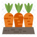 Carrot Farm  Icon