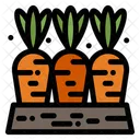 Carrot Farm Food Icon