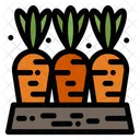 Carrot Farm Food Icon