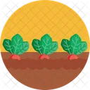 Bio Food And Agriculture Vegetable Farm Icon