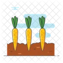 Carrot Gardening  Icon