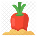 Carrot Growing Carrot Planting Kitchen Garden Icon