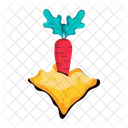 Carrot Growing  Icon